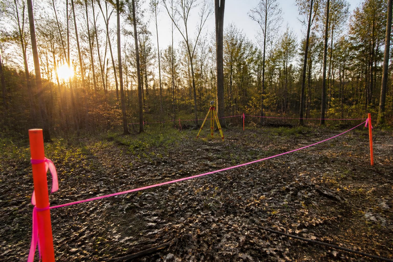 Survey stakes on an undeveloped Piedmont land parcel